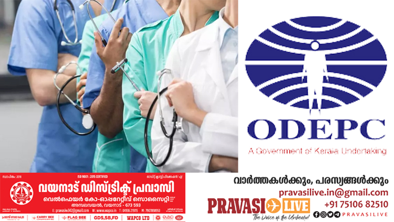 സൗദി ആരോഗ്യ മന്ത്രാലയത്തിൽ നഴ്സുമാർക്ക് അവസരം; റിക്രൂട്ട്മെന്‍റ് ഒഡെപെക് വഴി; വിസ, ടിക്കറ്റ്, താമസ സൗകര്യം എന്നിവ സൗജന്യം