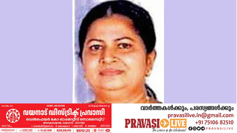 ദുബായ് വിമാനത്താവളത്തിലേക്കുള്ള യാത്രയ്ക്കിടെ വാഹനാപകടം; മലയാളി വീട്ടമ്മയ്ക്ക് ദാരുണാന്ത്യം