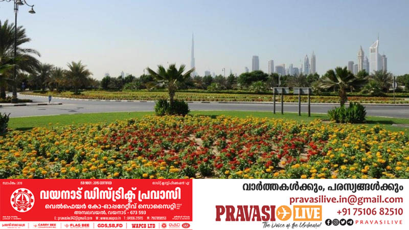 നട്ടത് 2.16 ലക്ഷം മരങ്ങൾ; ഹരിതനഗരമാകും ദുബായ്