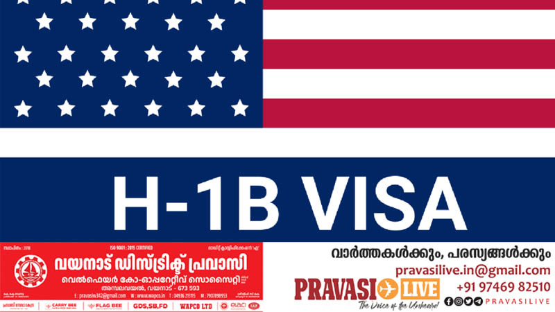 എച്ച്1ബി വിസ ഏറ്റവുമധികം ലഭിക്കുന്നത് ഏത് രാജ്യക്കാർക്കാണെന്നറിയുമോ? 73 ശതമാനവും വരുന്നത് ഒരേ രാജ്യത്തുനിന്നും